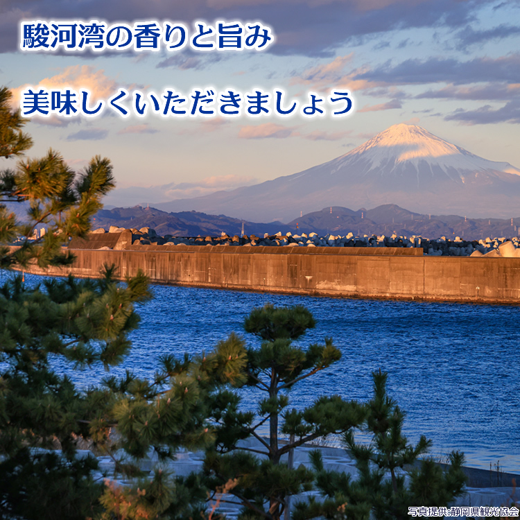 駿河湾の香りと旨み、美味しくいただきましょう